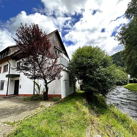 Kinzig-chalet - Balkon - Fuer - Mit Bettwaesche & Handtuecher アパート Schenkenzell