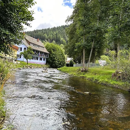 Kinzig-chalet - Balkon - Fuer - Mit Bettwaesche & Handtuecher